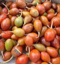 مانیکارا کائوکی